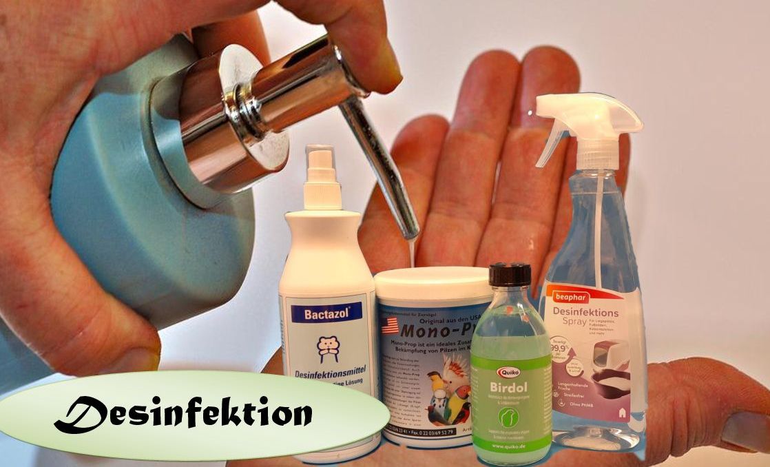 Desinfektion & Reinigungsprodukte